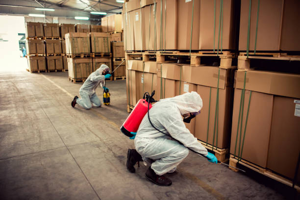 Best Pest Control Treatment  in Old Forge, PA