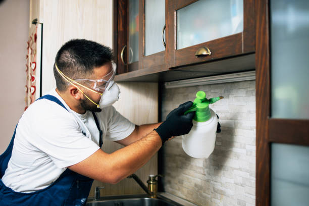 Pest Control for Restaurants in Old Forge, PA