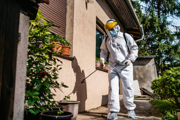 Best Wildlife Control Services  in Old Forge, PA