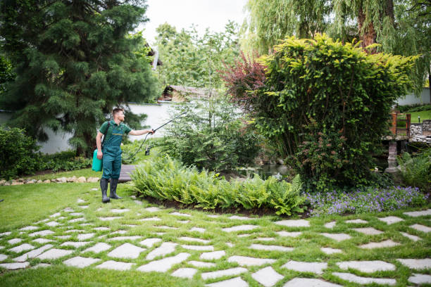 Best Pest Inspection Near Me  in Old Forge, PA