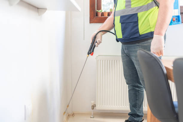 Best Ant Control Services  in Old Forge, PA