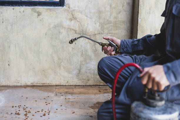 Trusted Old Forge, PA Pest Control Experts