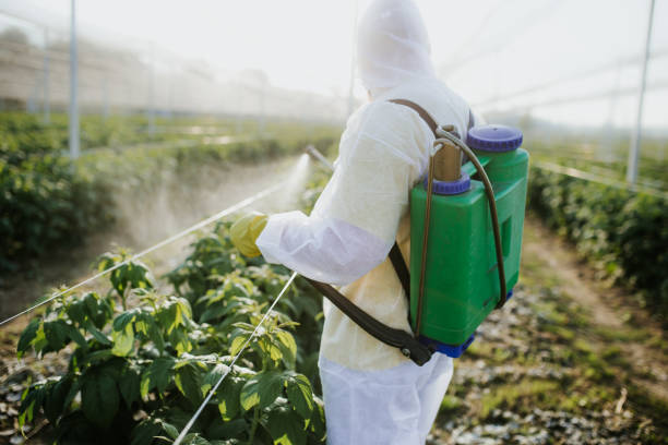 Best Affordable Pest Control Services  in Old Forge, PA